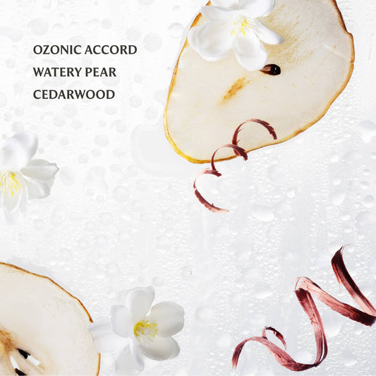 Touchland - Rainwater Power Mist Hydrating Hand Sanitizer