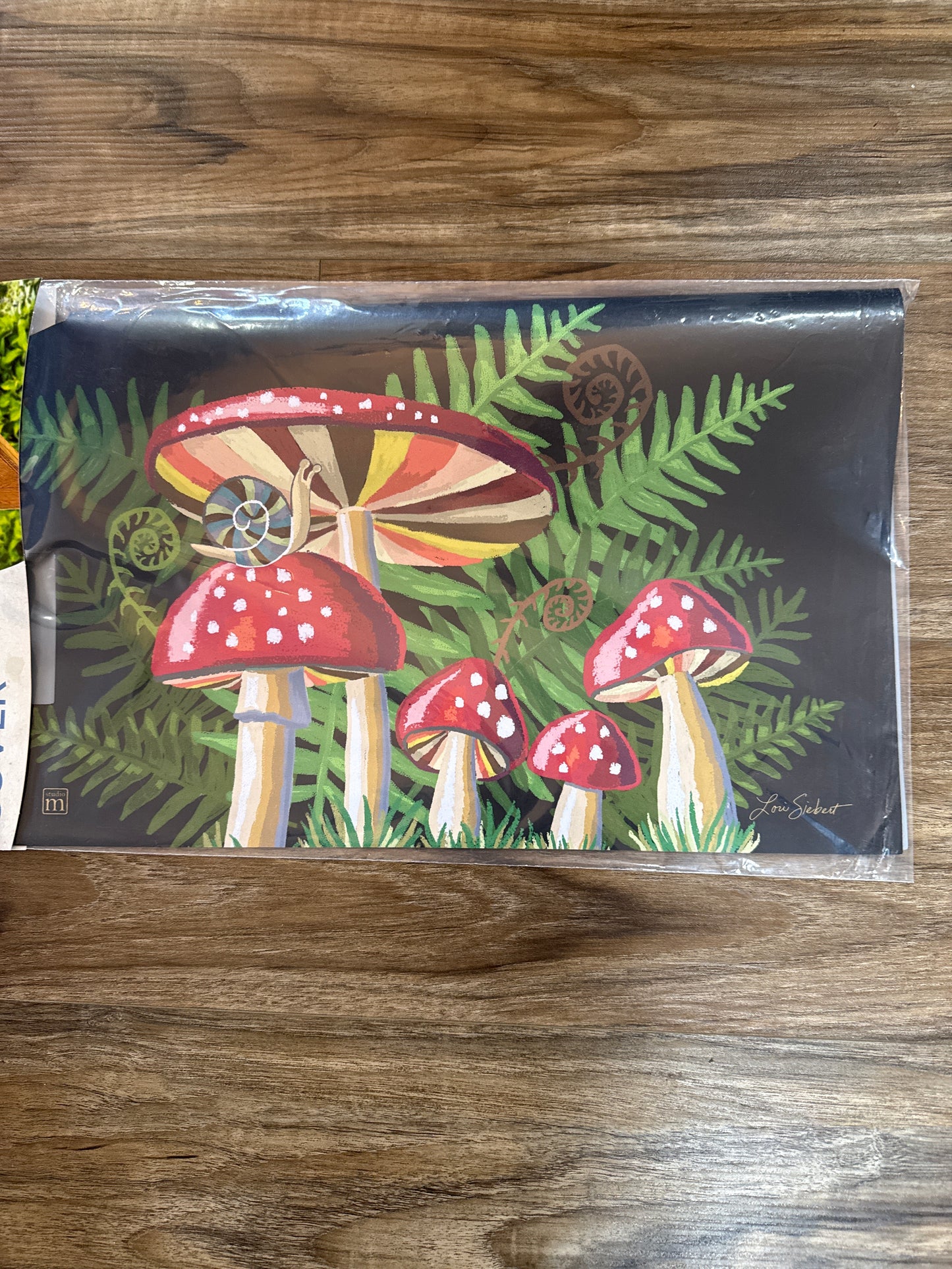 Snail's Mushroom Mailbox Cover