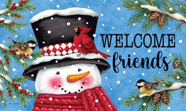 Custom Decor - Mat-Snowman and Birds