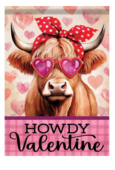 Howdy Valentine Flag