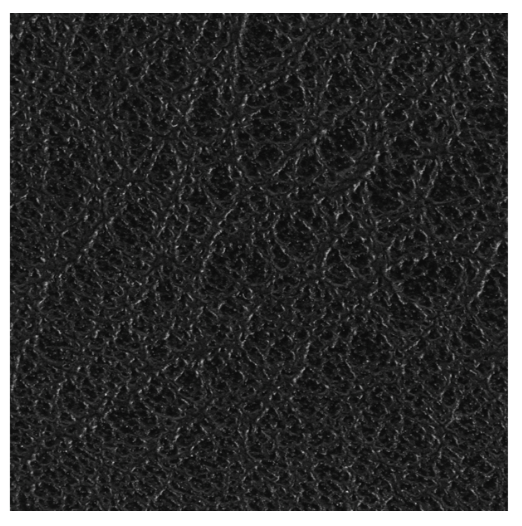 Foldover Crossbody Wristlet Wallet