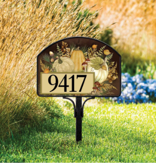 Fall Forest Yard DeSign