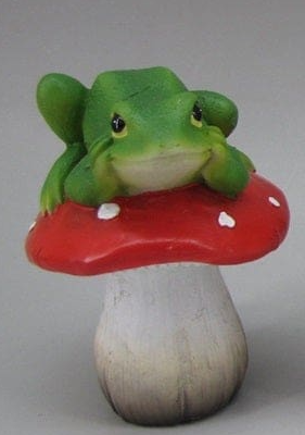 Frog on Mushroom
