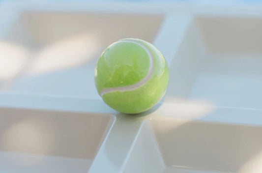 Game. Set, Match! Mini Nora Fleming