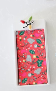 Get Lit Mini Nora Fleming