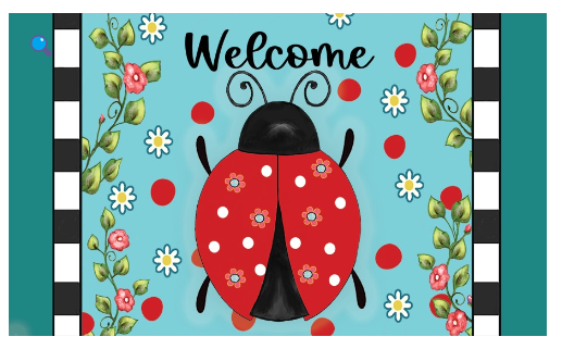 Ladybug Check-Floor Mat