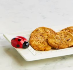 Lil' Ladybug Mini Nora Fleming