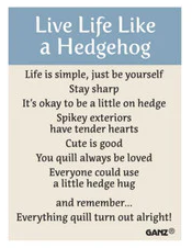 Live Life Like a Hedgehog Charm