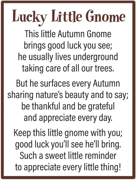 A Lucky Little Gnome