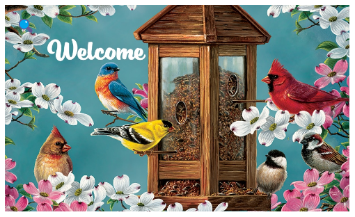 Songbird Feeder-Floor Mat