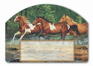 Spring Creek Run Yard Design