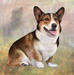 Welsh Corgi Sitting Stone Coaster