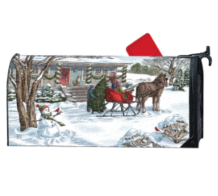 Winter Wonderland MailWrap