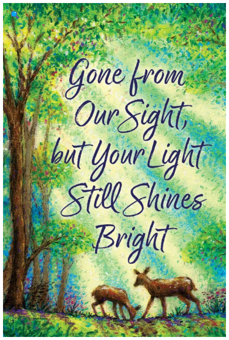 Your Light Shines Garden Flag