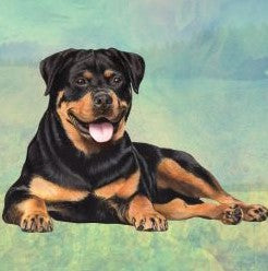 Rottweiler Laying Stone Coaster