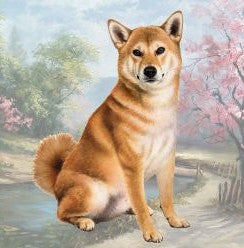 Shiba Inu Sitting Stone Coaster