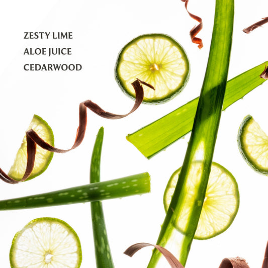 Touchland - Aloe You Power Mist Hydrating Hand Sanitizer