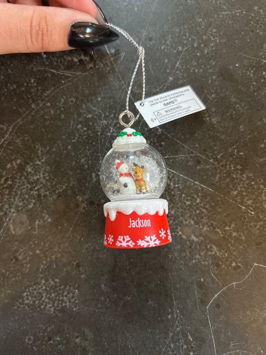 Jackson Mini Snow Globe Ornament