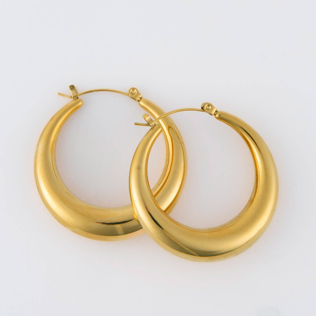 Howard's - Narelle Waterproof Round Hoop Earrings