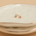Howard's - Waterproof Earrings 3mm Round Cubic Zirconia Stud Narelle