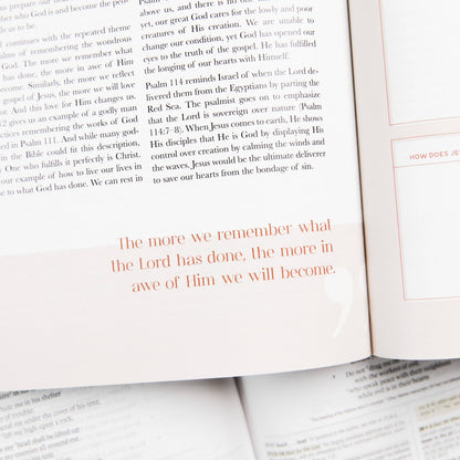 Eden to Eternity | The Chronological Story of Scripture | Volume 2