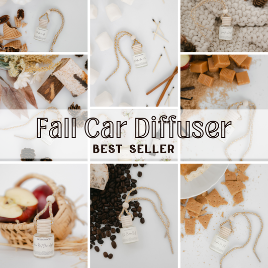 HOLLOWOOD FRAGRANCE - FALL CAR DIFFUSERS