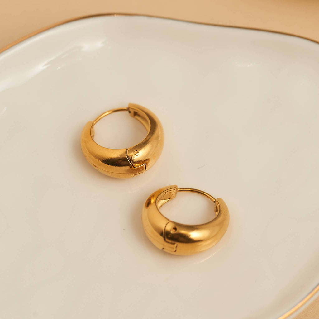 Howard's - Waterproof Earrings Graduated Hoop in Gold & Steel Narelle