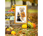 Tricks or Treats Garden Flag