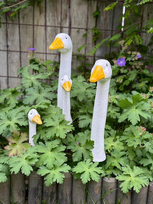 Goose & Company - Geese