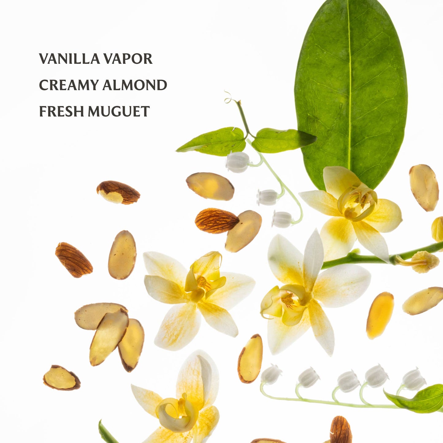 Touchland - Vanilla Velvet Power Essence Body & Hair Fragrance Mist