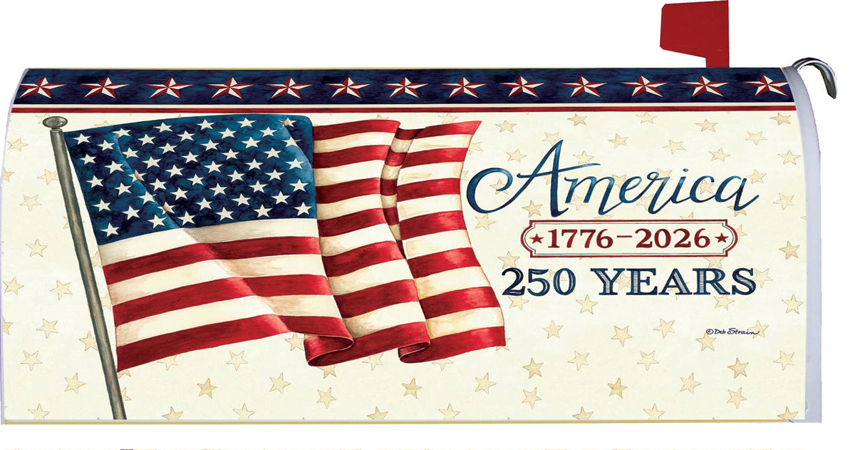 Custom Decor - LG Mailbox Makeover-America 250