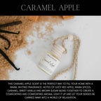 HOLLOWOOD FRAGRANCE - FALL CAR DIFFUSERS