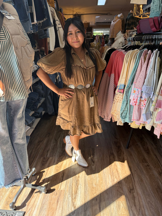 Easel Ruffle Bottom Brown Dress