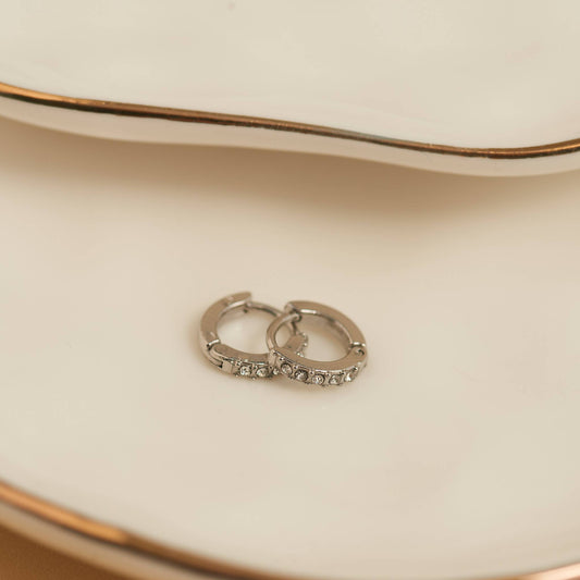 Howard's - Waterproof Earrings Narelle Pave Huggie Hoop Gold & Steel