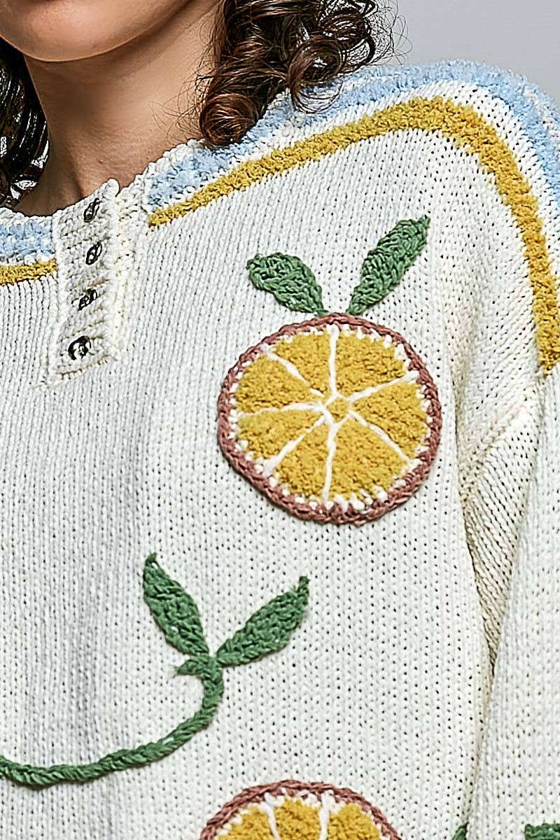 Pol Clothing - 3D Embroidery Long Sleeve Cozy Pullover Berber Sweater