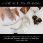HOLLOWOOD FRAGRANCE - FALL CAR DIFFUSERS