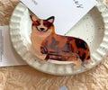 JUMBO DOG HAIR CLAW CLIPS