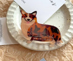 JUMBO DOG HAIR CLAW CLIPS