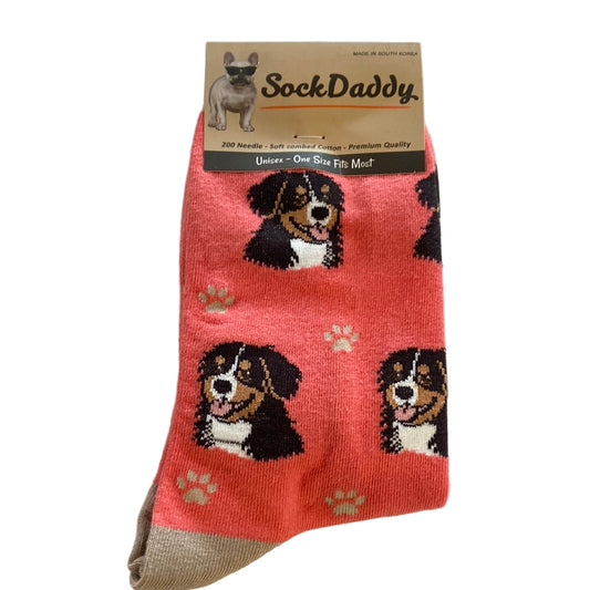 bernese mt dog socks
