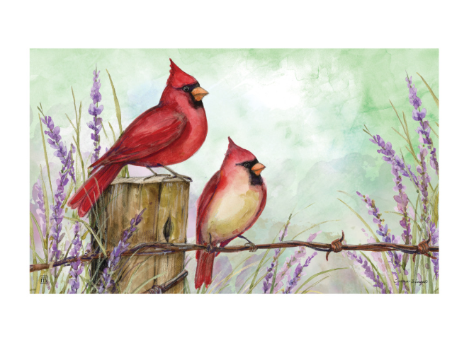 Cardinals on Wire Fence MatMate