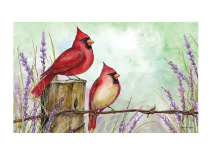 Cardinals on Wire Fence MatMate