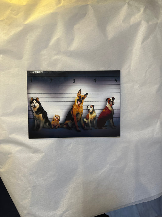 Happy Birthday from all the Usual Suspects Card