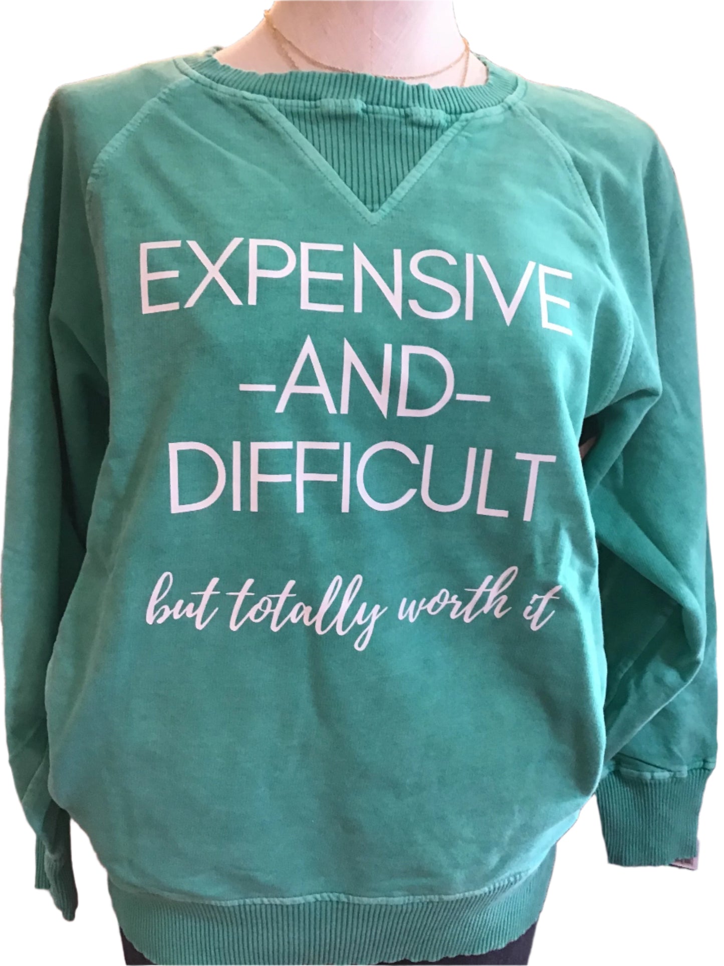 Expensive and Difficult Sweatshirt (Teal)