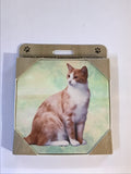 Orange and White Cat Sitting Stone Coaster