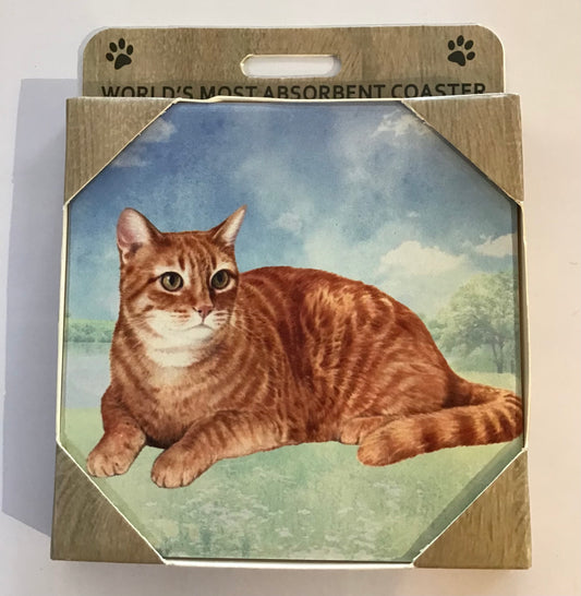 Tabby Orange Stone Coaster
