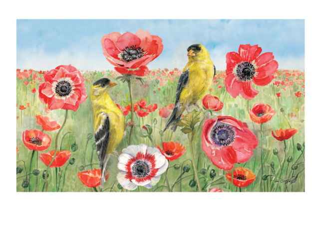 Poppy Field MatMate