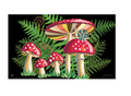 Snail's Mushroom MatMate