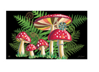Snail's Mushroom MatMate