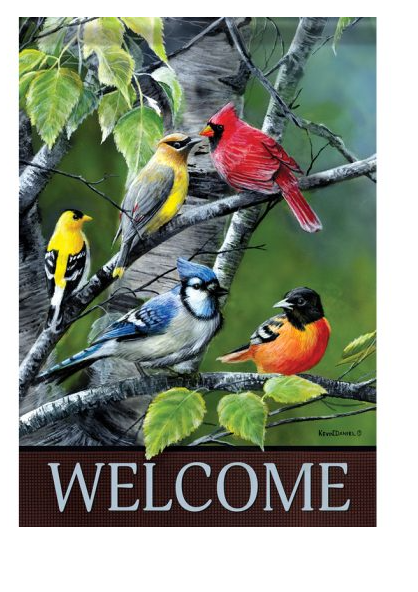 "Songbirds On Birch Branches" Dura Soft™