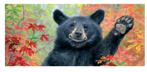 Wild Greeting Sassafras Switch Mat